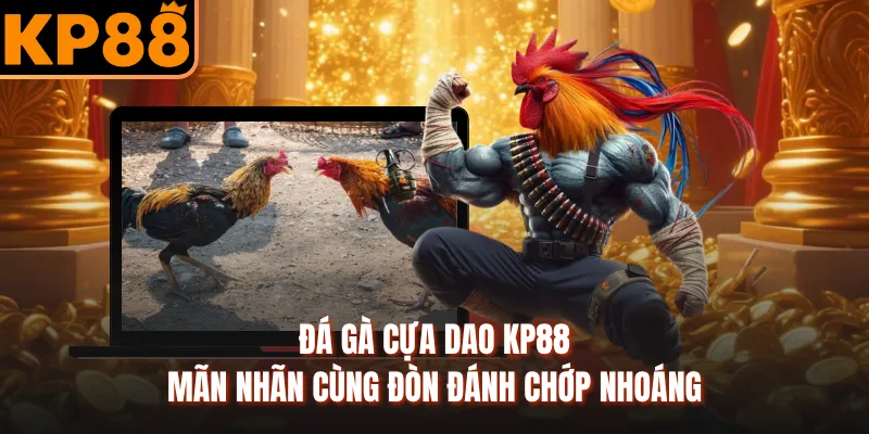 Đá Gà Cựa Dao KP88 - Mãn Nhãn Cùng Đòn Đánh Chớp Nhoáng